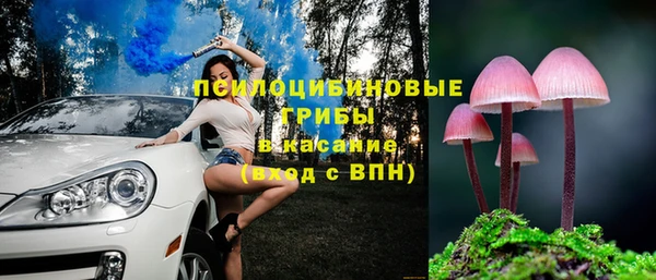 прущие крисы Алексин