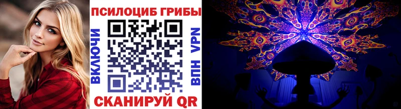 Псилоцибиновые грибы Cubensis  Мытищи 