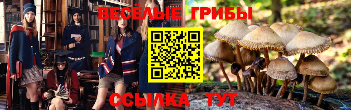 Галлюциногенные грибы мухоморы  Галлюциногенные грибы MAGIC MUSHROOMS  Вход с VPN  Мытищи 